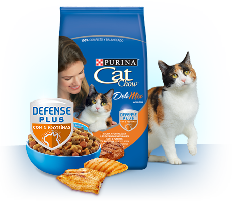 Click para tamaño original Cat chow Deli Mix 19,5kg