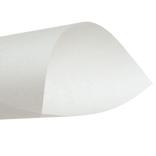 Click para tamaño original Pliego papel mantequilla