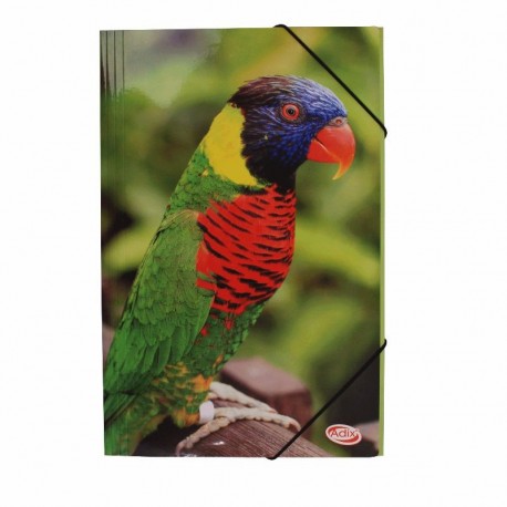 Click para tamaño original Carpeta oficio cartón loro c/ elástico Adix