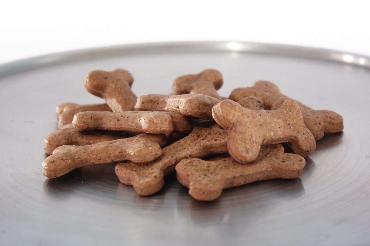 Click para tamaño original Dog buffet Galleta adulto 275 gramos apox (15)