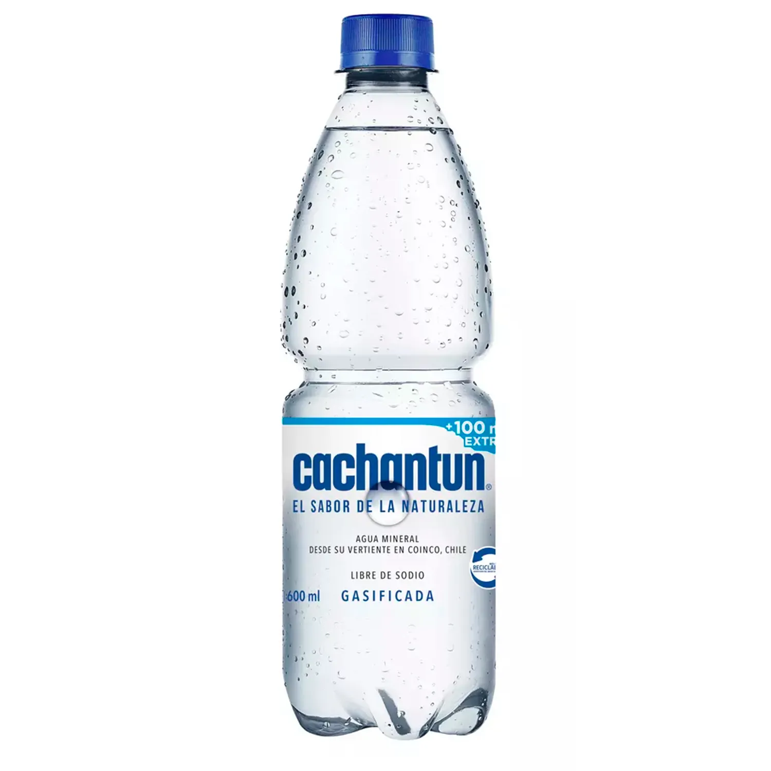 Agua mineral Gasificada Cachantun 600 ml (12)