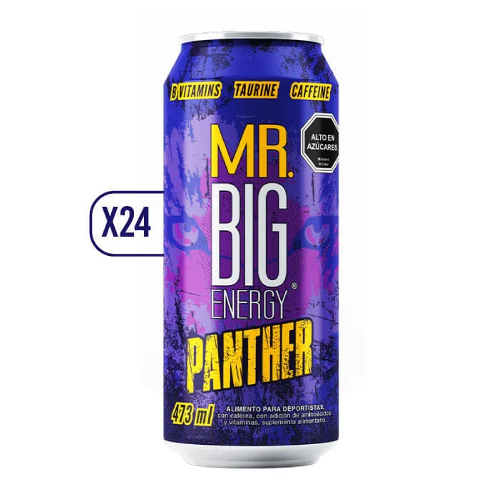 Energética panter Mr. Big 473 ml (24)