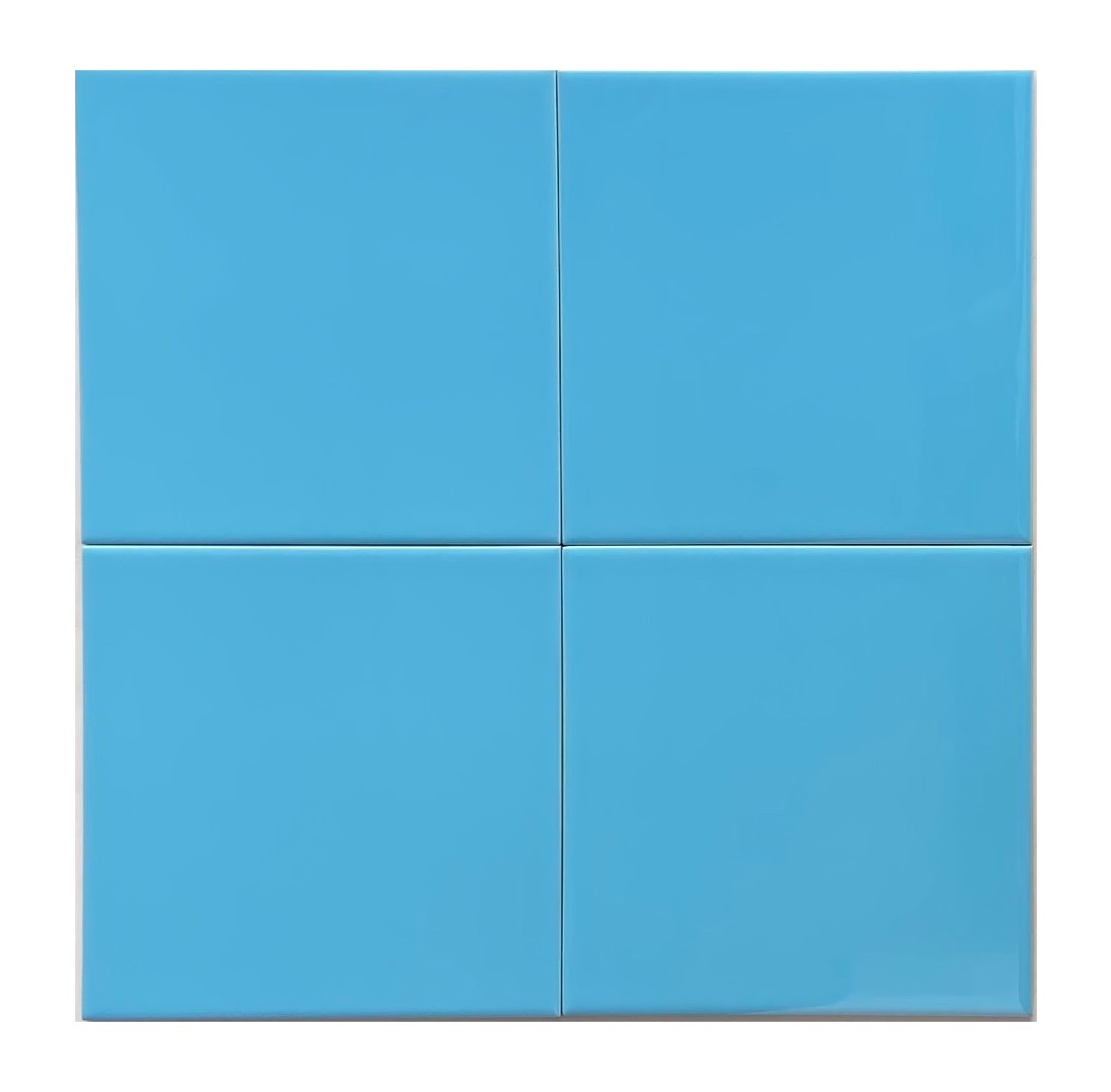PALMETA 20 X 20 T_BLUE RANGE