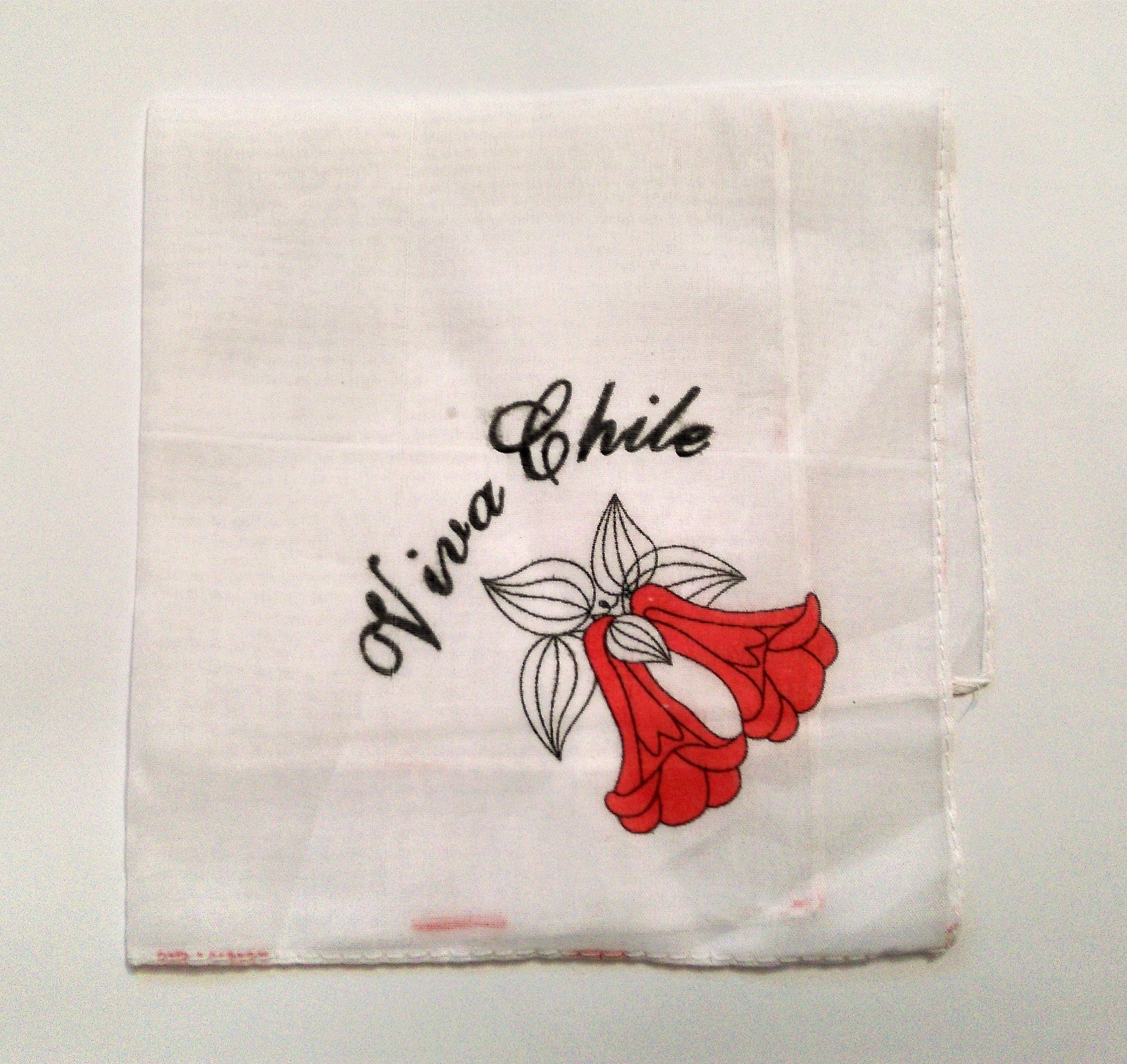 Pañuelo para cueca simple con estampado (12)