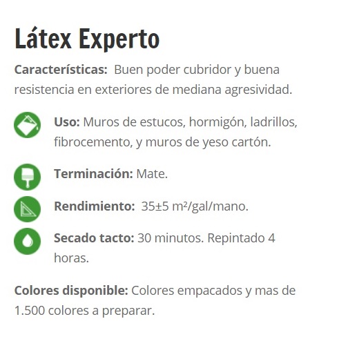 1/4 GL LATEX EXPER BLANCO